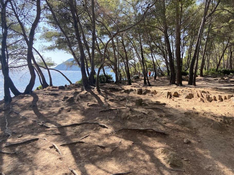 Dernier Etage Vue Clim Et Wifi * Saint-Mandrier-sur-Mer