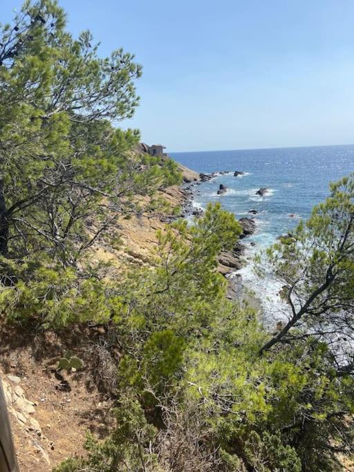 Dernier Etage Vue Clim Et Wifi Apartment Saint-Mandrier-sur-Mer